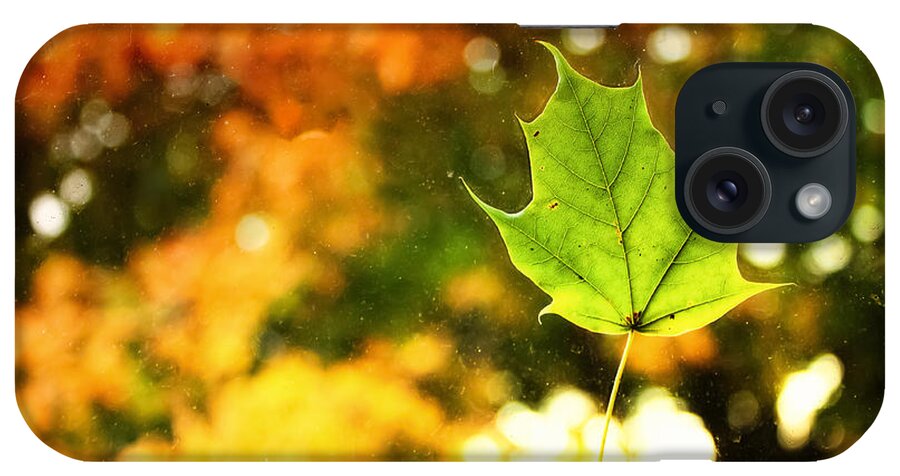 Fall iPhone Case featuring the photograph Falling Leaf by Lars Lentz