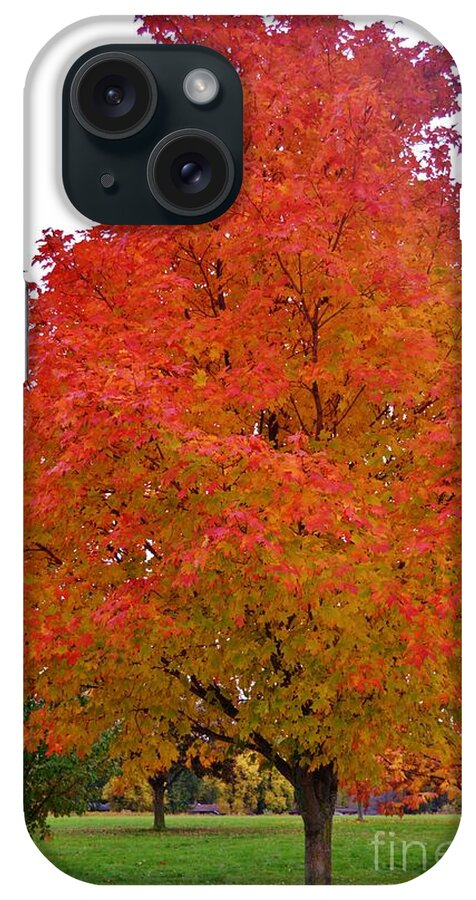 Maple Tree iPhone Case featuring the photograph Fall's Glory by Brigitte Emme