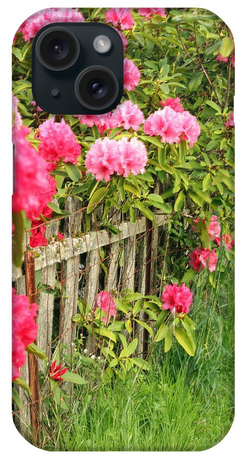 Rhodies In Bloom iPhone Case featuring the photograph Fancy Fence by E Faithe Lester