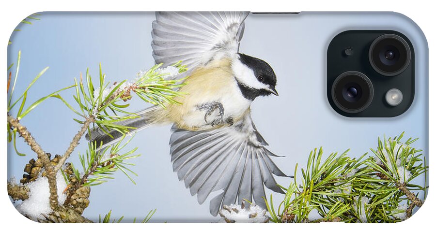 Birds In Flight iPhone Case featuring the photograph Fancy Flyer by Peg Runyan