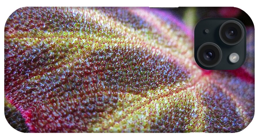 Leaf iPhone Case featuring the photograph Fancy Leaf by MTBobbins Photography