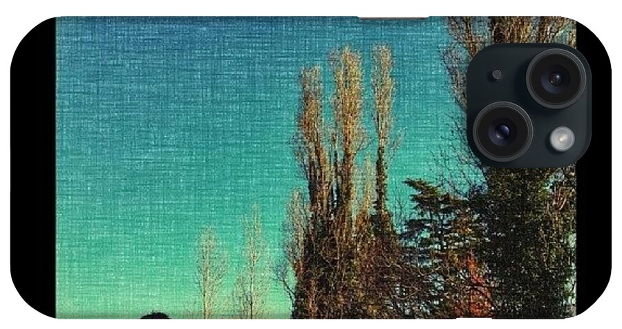  iPhone Case featuring the photograph Farm Ruins II by Marino Todesco