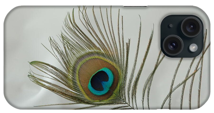 Peacock iPhone Case featuring the photograph Feather by David Armstrong