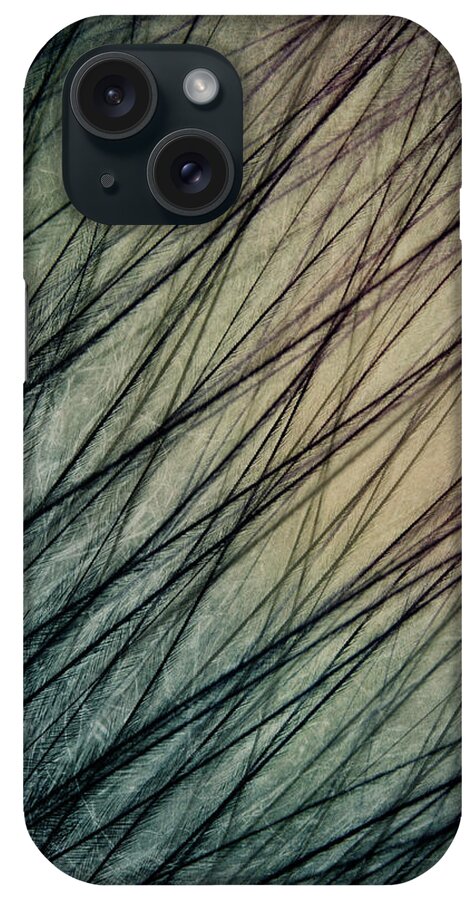 Feather iPhone Case featuring the photograph Feather III by Sharon Johnstone