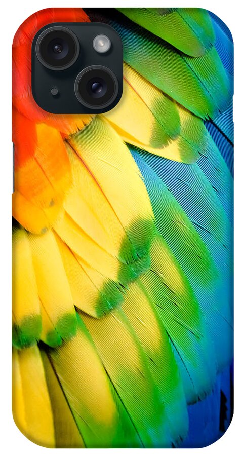 Feathers iPhone Case featuring the photograph Feather Rainbow by Karen Wiles