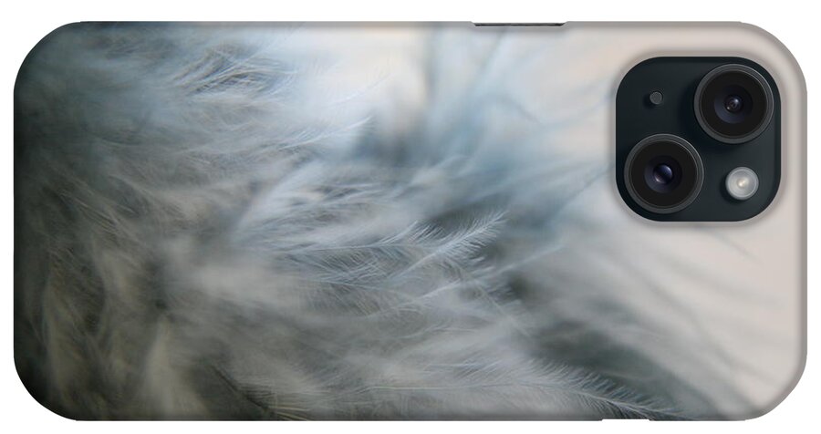 Feathers iPhone Case featuring the photograph Feathered by Lynn England