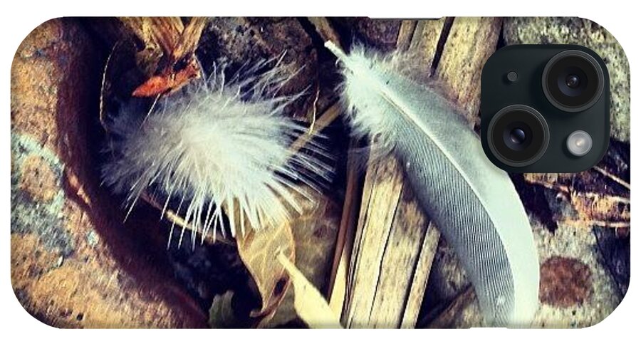 Feathers iPhone Case featuring the photograph #feathers #rocks #instagram by Greta Olivas