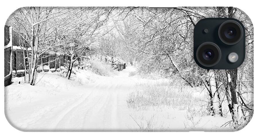 Canada iPhone Case featuring the photograph February Snow Bw by Theresa Tahara