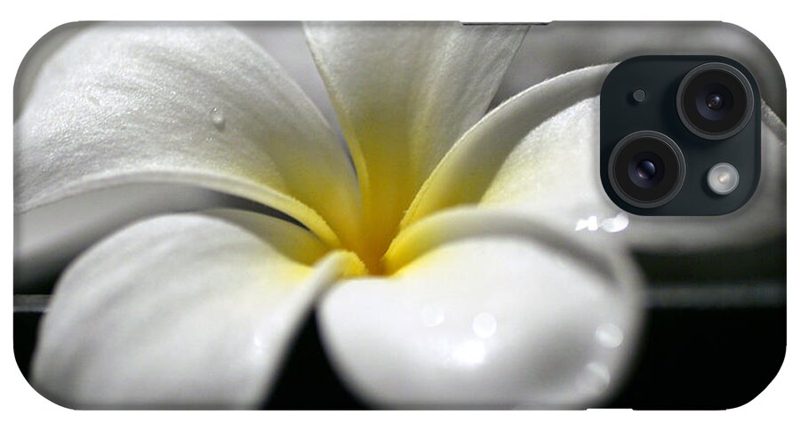  iPhone Case featuring the photograph Feel 5 by Cheryl Boyer