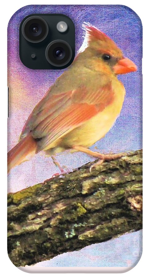 Bird iPhone Case featuring the photograph Female Cardinal Away From Sun by Janette Boyd