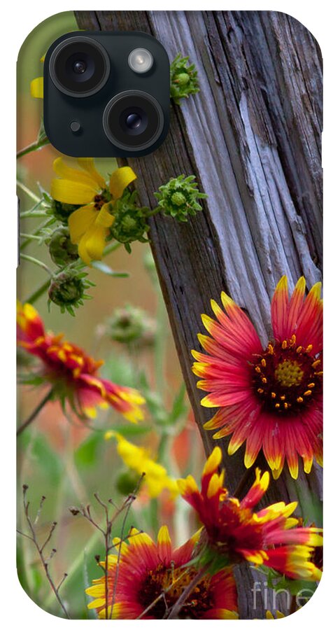 Plants iPhone Case featuring the photograph Fenceline Wildflowers by Robert Frederick