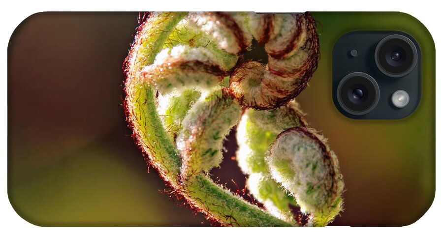 Ferns iPhone Case featuring the photograph Fiddlehead Fern by Peggy Collins