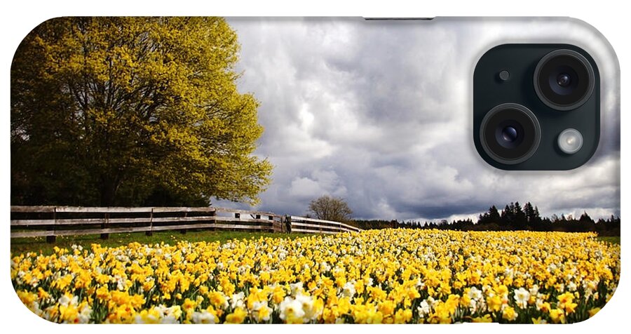 Daffodils iPhone Case featuring the photograph Field of Daffodils by Sylvia Cook