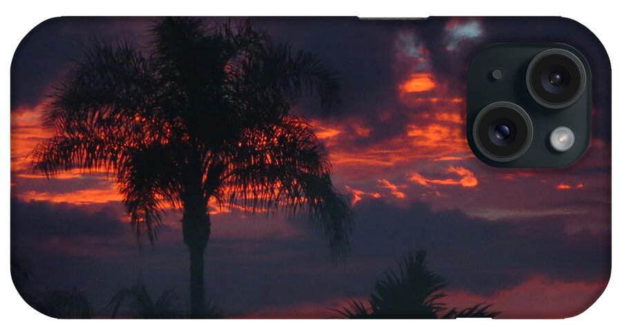 Fiery Sunset In Florida iPhone Case featuring the photograph Fiery Sunset in Florida by Robert Birkenes