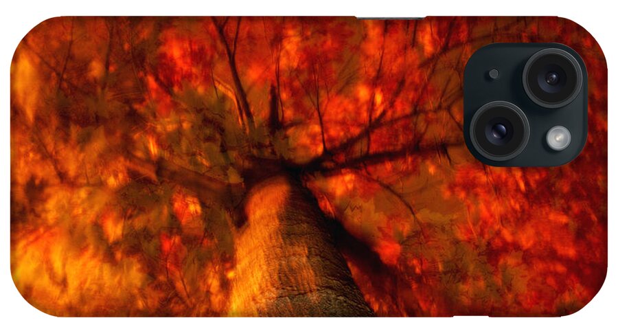 Nature iPhone Case featuring the photograph Fiery Tree by Joseph Hedaya