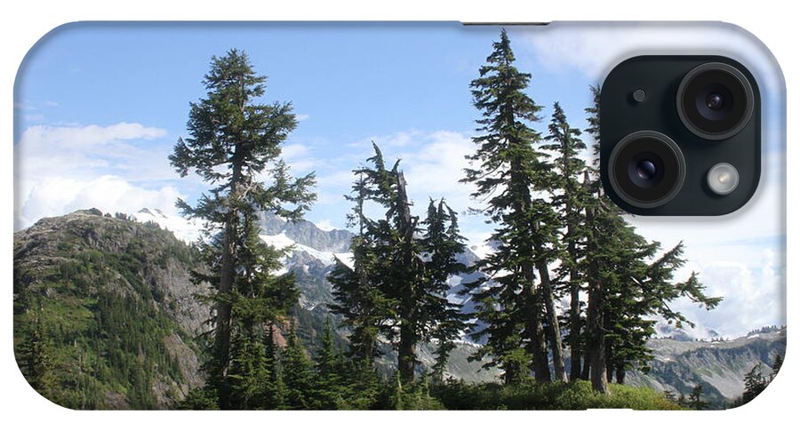 Fir Trees iPhone Case featuring the photograph Fir Trees At mount Baker by Tom Janca