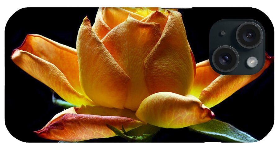 Rose iPhone Case featuring the photograph Fire Rose by Terence Davis