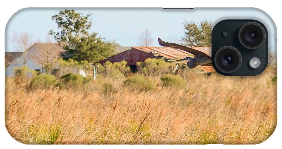 Heron iPhone Case featuring the photograph First glance by Barry Bohn