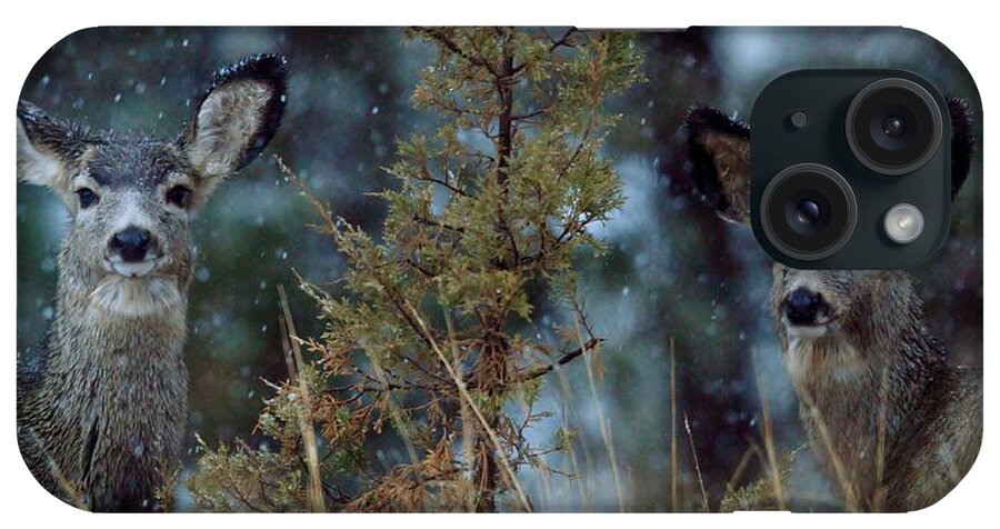 Snow iPhone Case featuring the photograph First Snow by Donald J Gray