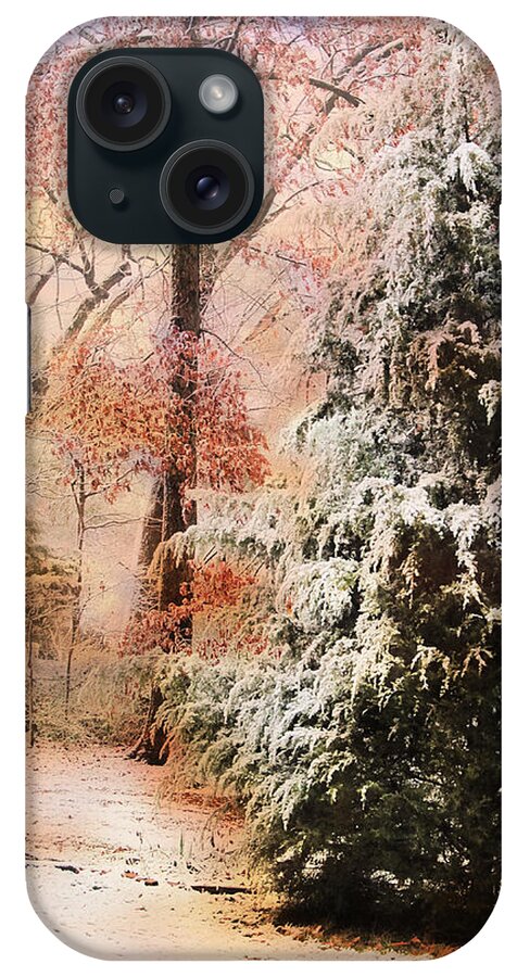 Path iPhone Case featuring the photograph First Snow by Jai Johnson