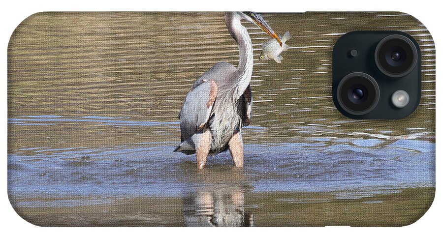 Blue Heron iPhone Case featuring the photograph Fish Said I Thought You Wanted to Meet For Lunch by Tom Janca