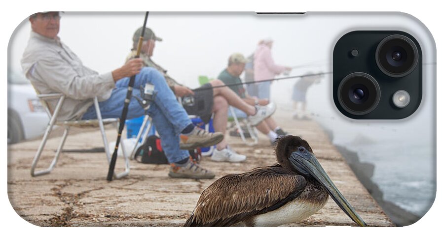Bird iPhone Case featuring the photograph Port Aransas Texas by Mary Lee Dereske