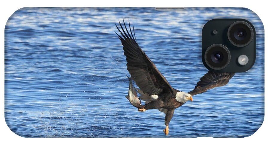 American Bald Eagle iPhone Case featuring the photograph Fishing Ballet by Coby Cooper