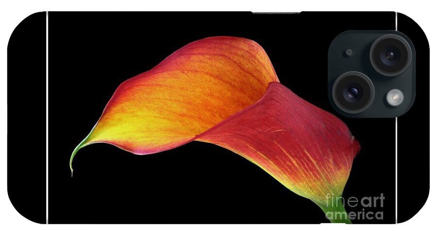 Calla Lily iPhone Case featuring the photograph Flaming Calla by Chris Anderson