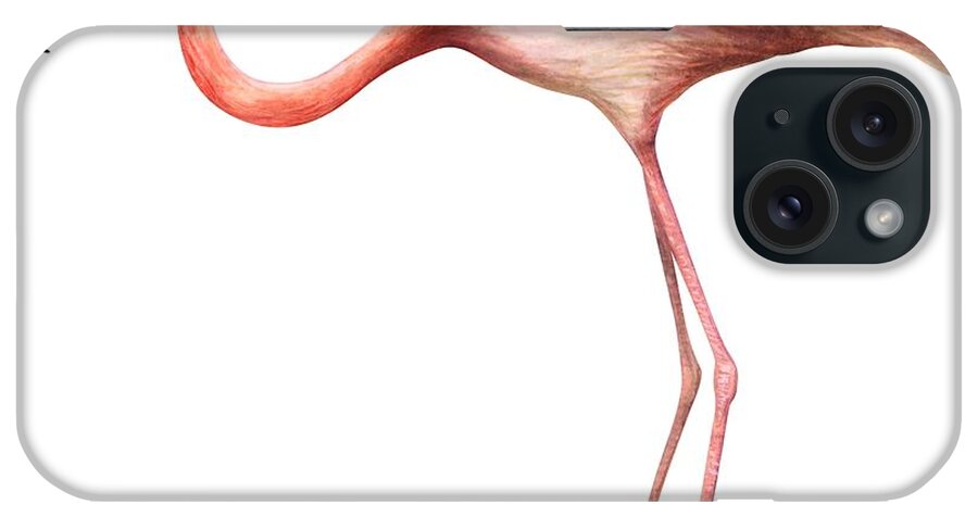 No People; Square Image; Side View; Full Length; White Background; One Animal; Wildlife; Close Up; Zoology; Illustration And Painting; Bird; Beak; Feather; Pink; Web; Flamingo; Phoenicopterus Ruber iPhone Case featuring the drawing Flamingo by Anonymous