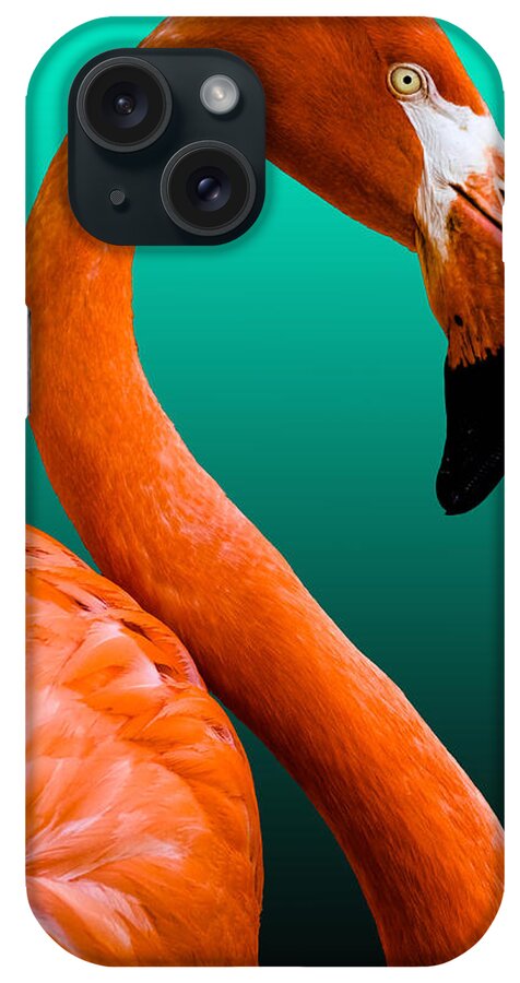 American Flamingo iPhone Case featuring the photograph Flamingo by Brian Stevens