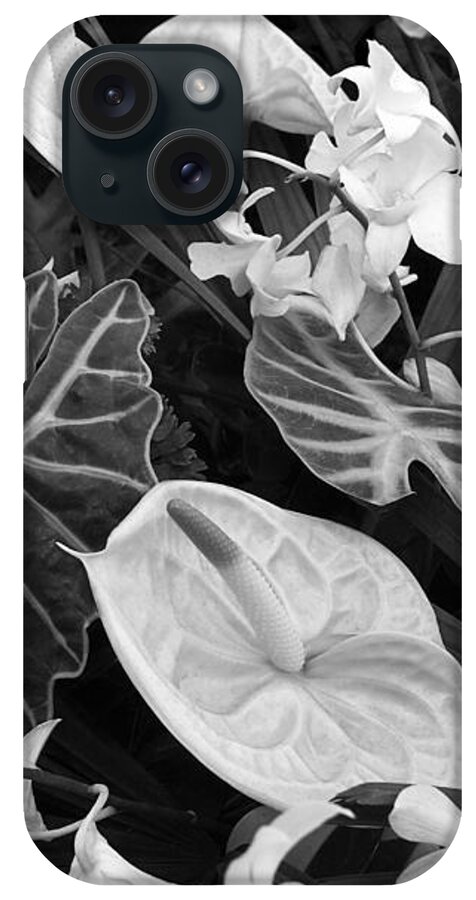 Black And White Flowers iPhone Case featuring the photograph Flamingo Flowers And Orchids Black and White by Gill Billington