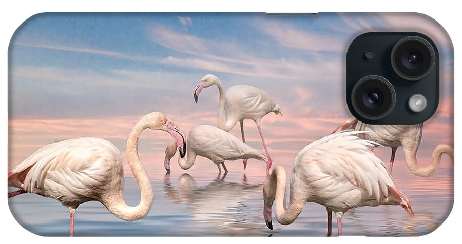 Flamingo iPhone Case featuring the photograph Flamingo Lagoon by Brian Tarr