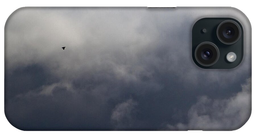 Bird iPhone Case featuring the photograph Fleeing the Storm  by Lars Lentz
