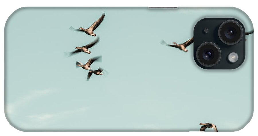 Ammersee iPhone Case featuring the photograph Flight Of The Goose by Hannes Cmarits