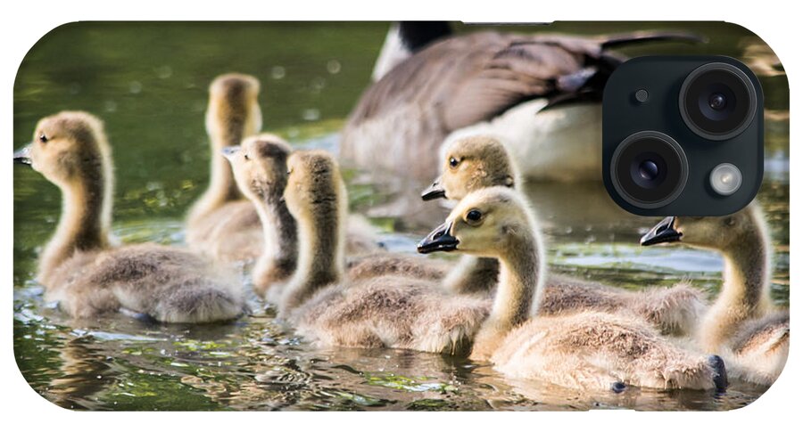 Geese iPhone Case featuring the photograph Floating Along The Pond by Parker Cunningham