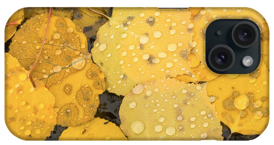 Autumn iPhone Case featuring the photograph Floating Aspens by Joye Ardyn Durham