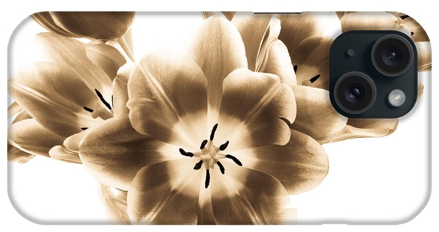 Tulips iPhone Case featuring the photograph Floral Delight by Anita Oakley