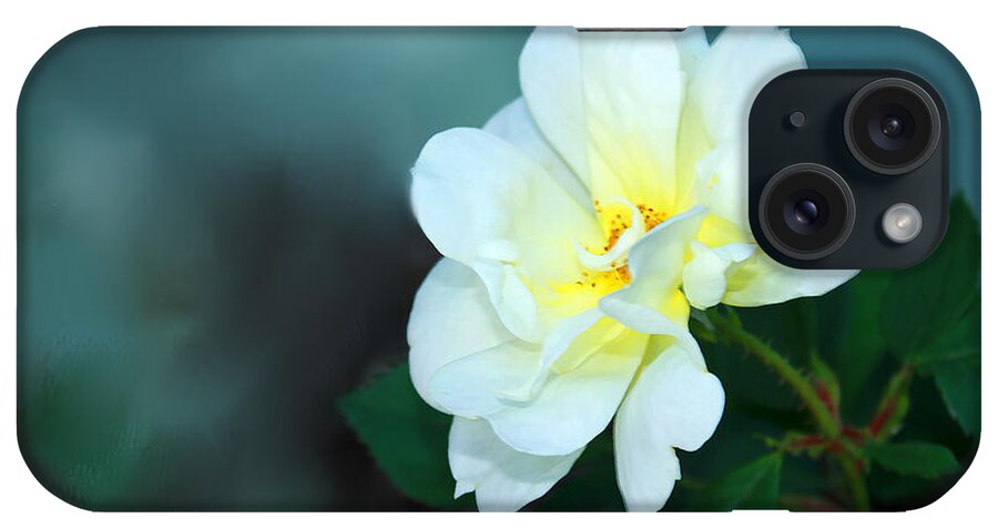 Flower iPhone Case featuring the photograph Apple Blossom Time by Bonnie Willis