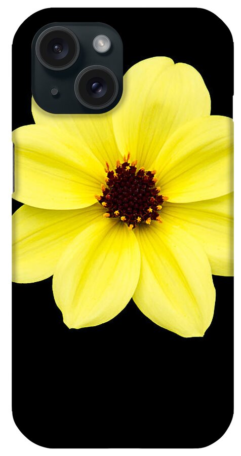 Flower iPhone Case featuring the photograph Flower 482 by Andre Aleksis