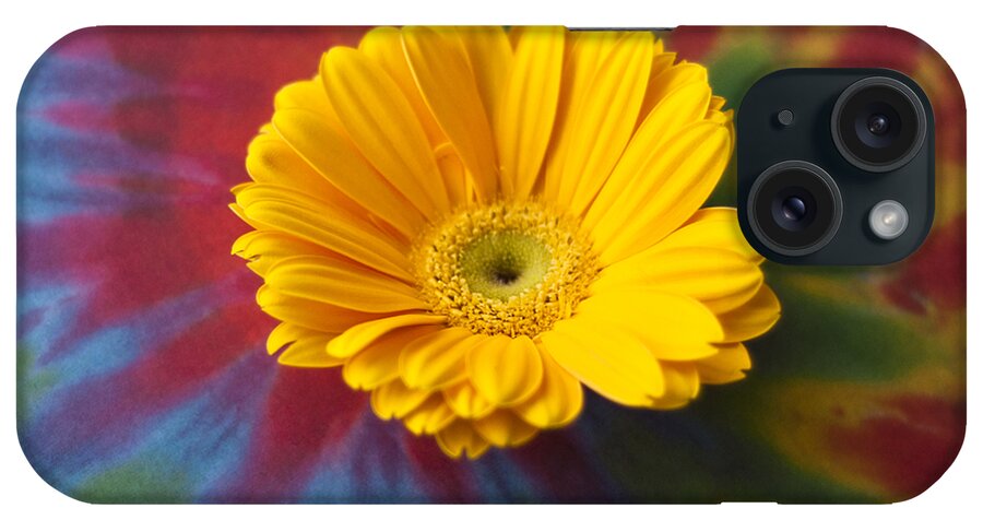 Daisy iPhone Case featuring the photograph Flower Child by Christi Kraft
