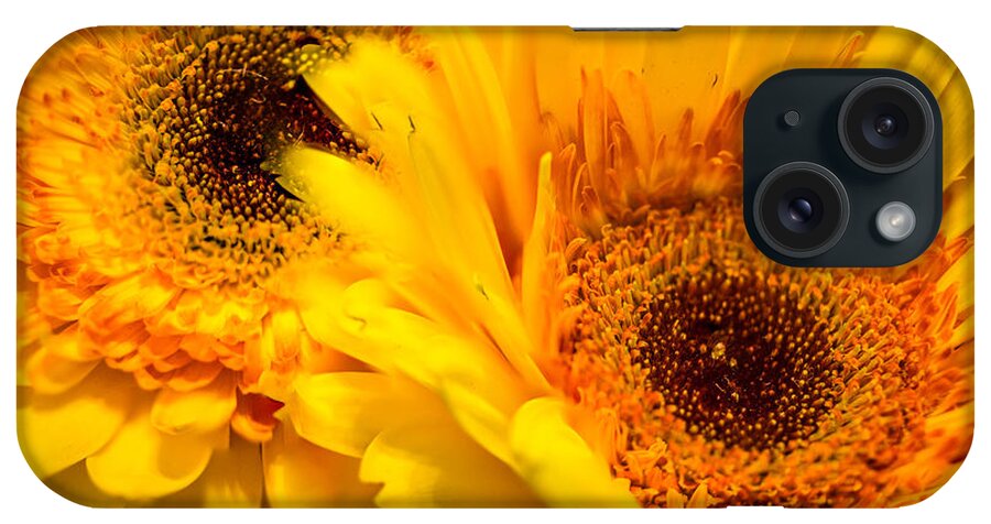 Daisy iPhone Case featuring the photograph Flower Eyes by Wild Fotos