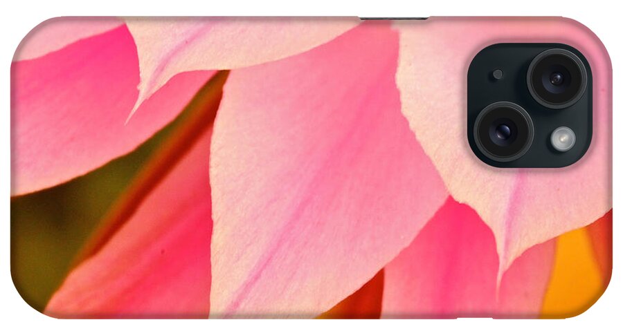 Flower iPhone Case featuring the photograph Flower Feathers by Michael Cinnamond