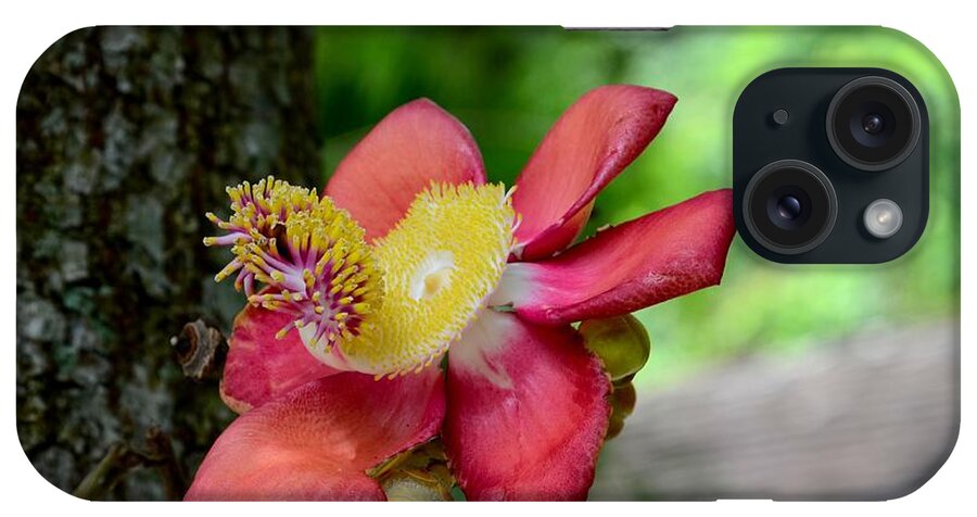  Flower iPhone Case featuring the photograph Flower of Cannonball Tree Singapore by Imran Ahmed