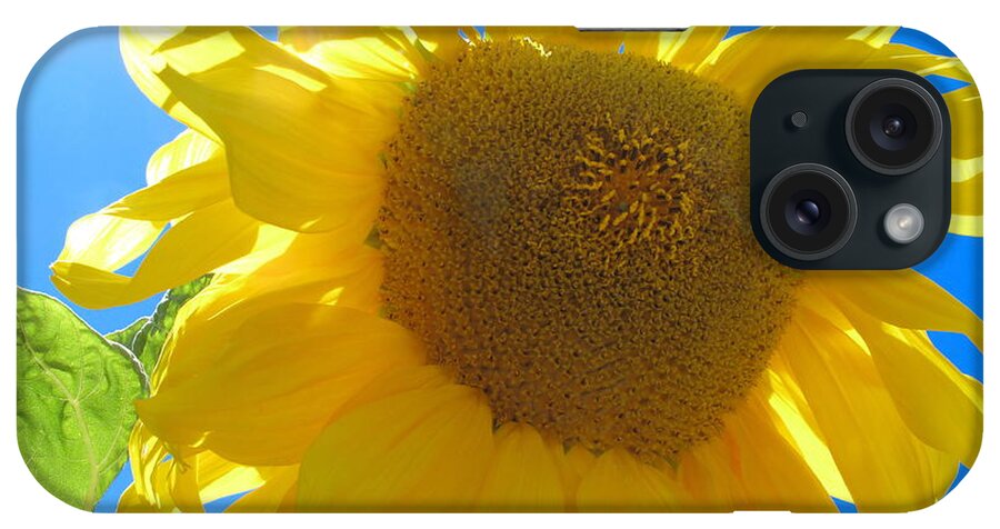 Sunflower iPhone Case featuring the photograph Flower Of The Sun by Derek Dean