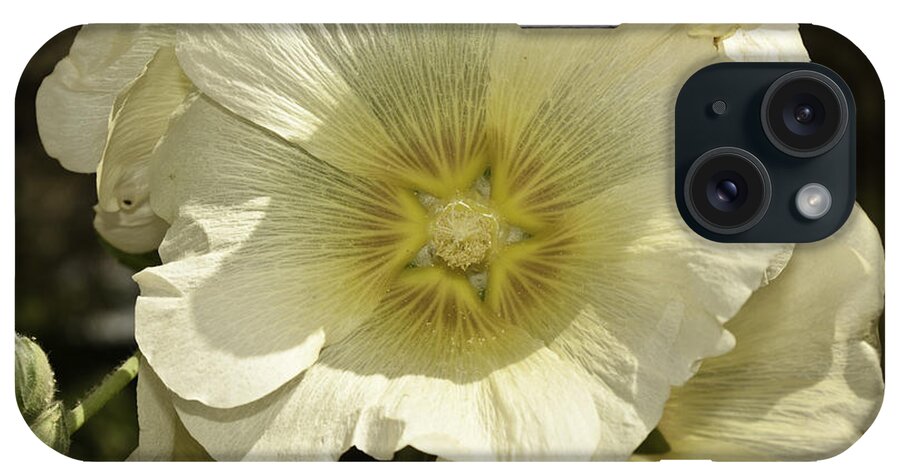 Beautiful Flower iPhone Case featuring the photograph Flower petals of a white flower by Ashish Agarwal