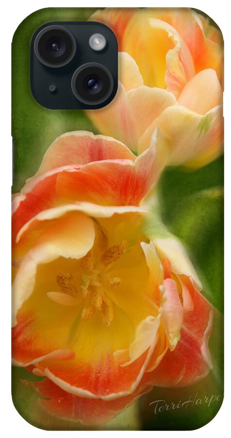 Tulips iPhone Case featuring the photograph Flower Power Revisited by Terri Harper