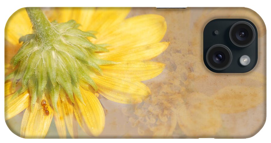 Flower iPhone Case featuring the photograph Flower Rhythm by Susan Moody
