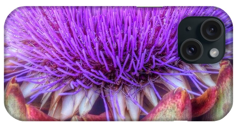 Flowering Artichoke iPhone Case featuring the photograph Flowering Artichoke by Susan Garren