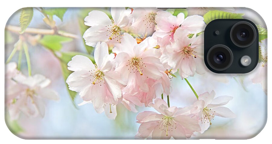 Cherry iPhone Case featuring the photograph Flowering Cherry Tree Blossoms by Jennie Marie Schell