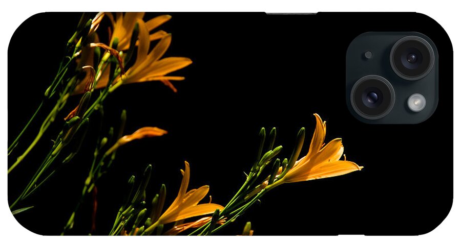 Capitol Columns iPhone Case featuring the photograph Flowering Golds II by Kathi Isserman